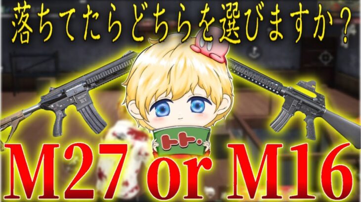 あまり目立たないこの2丁どっちが強いの？！M27？M16？【荒野行動】