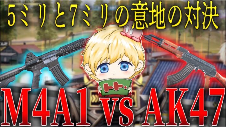 【検証】M4とAK結局どっちが強いの？？【荒野行動】