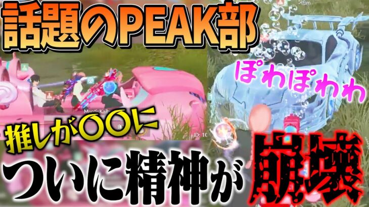 PEAK戦をやりすぎてついに精神が壊れる”へちょとプロ達”【荒野行動】