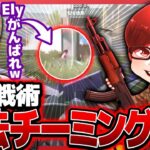 ふぇいたんブチギレ！？敵を上手く使う「合法チーミング」でVogelを倒すぷに姫が天才すぎたｗｗｗ【荒野行動】