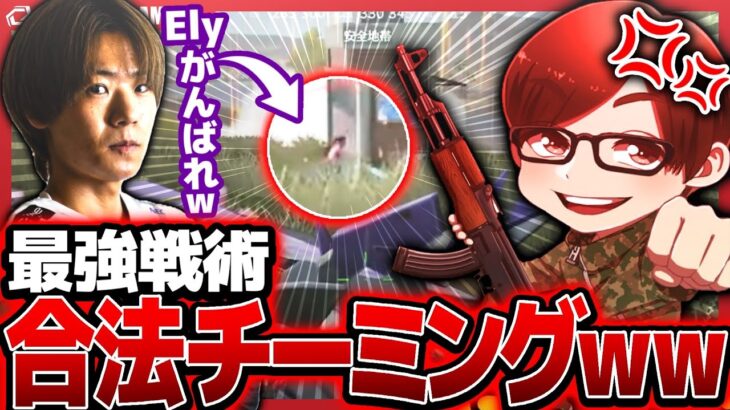 ふぇいたんブチギレ！？敵を上手く使う「合法チーミング」でVogelを倒すぷに姫が天才すぎたｗｗｗ【荒野行動】