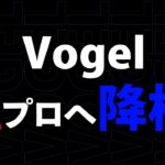 【緊急】″仏×ふぇいたん″率いるVogelが「S級→A級」に降格する危機が迫っています【荒野行動】