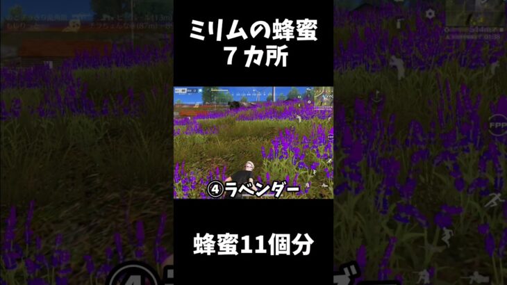 ミリムの蜂蜜の隠し場所７カ所（蜂蜜11個分）【荒野行動】#shorts  「荒野の光」「荒野GOGOFES」Knives Out　転スラコラボ
