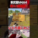新武器M4A4最強の使い方【荒野行動】