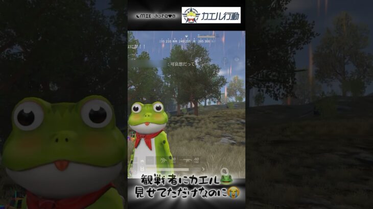 【 荒野行動 】観戦者にサービスしただけなのに🥹‪💦 #荒野行動 #荒野の光 #荒野にカエル