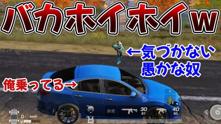 【荒野行動】新ノーマルセダンなら中に乗ってても絶対バレないんだけどwwww
