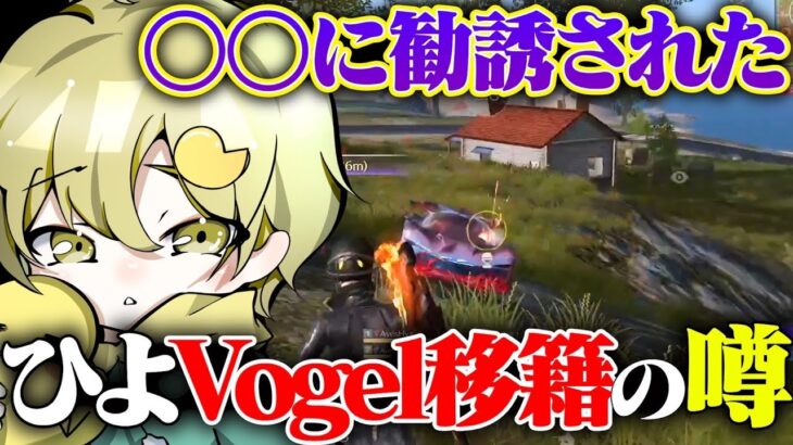 ひよ、お前Vogel行くの？【荒野行動】
