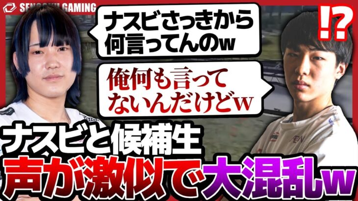 【トライアウト】ナスビと声が激似の候補者が来てとんでもない事になりましたｗｗｗ【荒野行動】