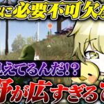 Avesの絶対的エースひよの強さここにあり【荒野行動】