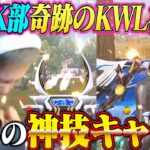 【涙】PEAK部でKWL魂の初KO!!ガチキャリーしました!!!!【荒野行動】