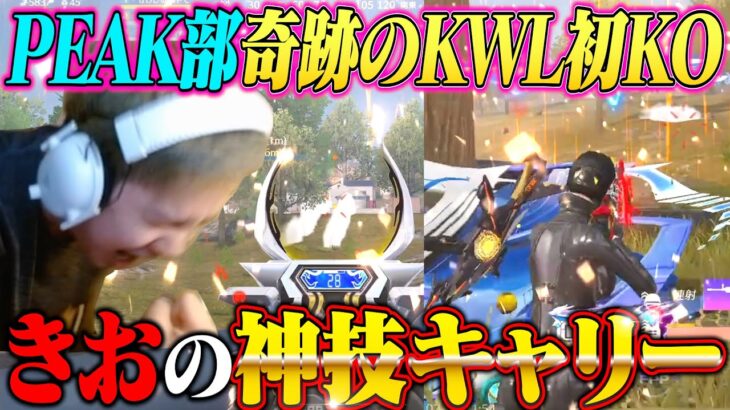 【涙】PEAK部でKWL魂の初KO!!ガチキャリーしました!!!!【荒野行動】