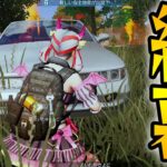 愛を伝えてさようなら【荒野行動】