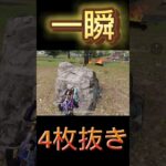 【荒野行動】一瞬すぎて何枚抜いたのか分からなかったwww