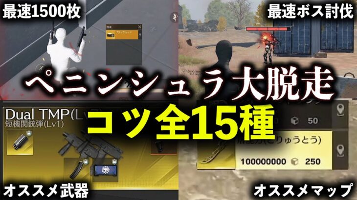 【永久保存版】ペニンシュラ大脱走のコツ「全15種」【荒野行動】