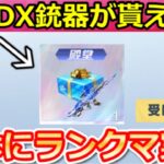 【荒野行動】DX銃器が完全無料ゲット‼史上初の殿堂DX配布＆貰える条件！ペニンシュラ大脱走の秘宝BOXが常設・団体にランクマ・年間シーズン特典・S37以降の最新アプデ情報（Vtuber）