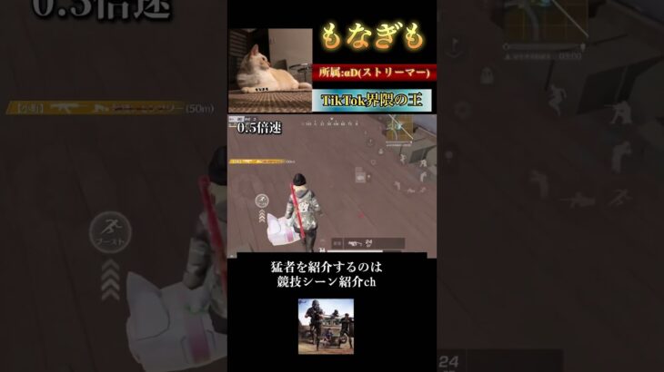 【荒野行動】武器が強いの？選手が強いの？#荒野行動#knivesout #もなぎも#αD