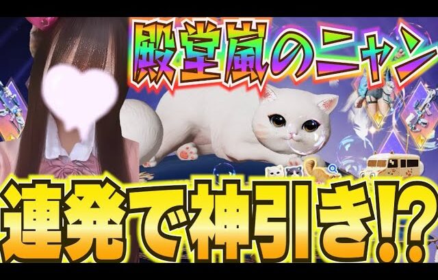 【荒野行動】殿堂嵐のニャンで連発の神引き！？