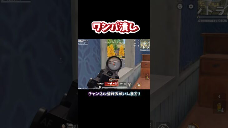 M4サプの音ってなんかいいよね #荒野行動 #knivesout  【荒野行動】