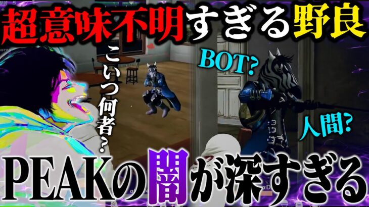 史上最も謎すぎる野良の登場にPEAK戦の闇を目撃してしまいました。【荒野行動】