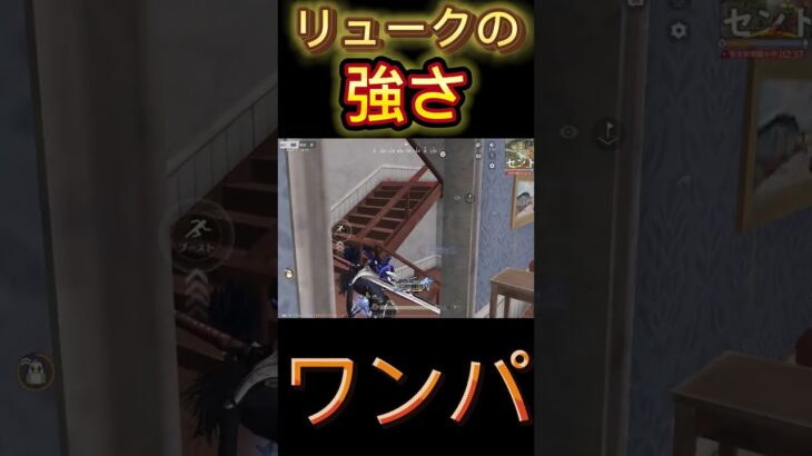 【荒野行動】これがリュークの戦い方www