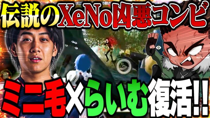 XeNo再建、ミニ毛との再会が熱すぎて泣きました【荒野行動】
