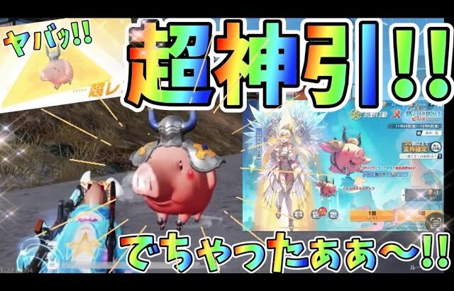 【荒野行動】【荒野の光】【7周年も荒野いこうや】超神引き‼️七つの大罪ガチャ🙈💗 初SPバイク🐷ホークが可愛いすぎる💗#荒野行動 #荒野の光 #7周年も荒野いこうや #七つの大罪ガチャ #SPバイク