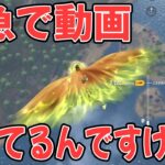 【荒野行動】暇な人用の動画