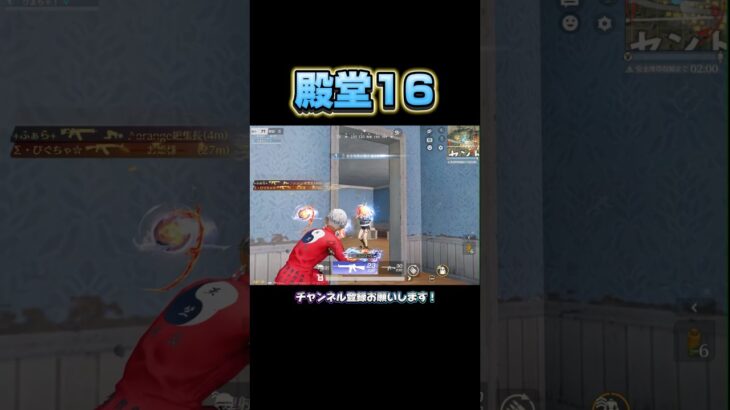 落ち着いた立ち回りでワンパ潰し💥 #荒野行動 #knivesout  【荒野行動】
