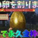 金の卵を割りまくってお年玉回収すると無料でめちゃ強い永久金枠アイテムがゲットできるｗｗ【荒野行動】#1293 Knives Out