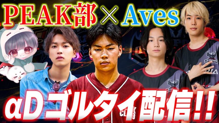 PEAK部【荒野行動】