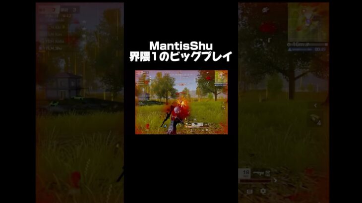 championship最終試合1対4キャリーの瞬間【荒野行動】