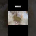 ゲリラ終盤ワンパ潰してみた#荒野行動 #ネタ