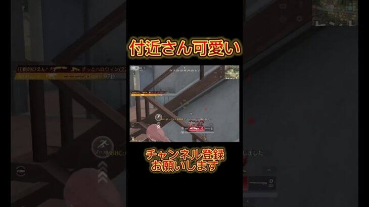 【荒野行動】付近さんにショットガンの強さ教えてきたww #shorts  #荒野行動