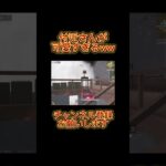 【荒野行動】付近さんが可愛すぎたwwwww  #shorts  #荒野行動