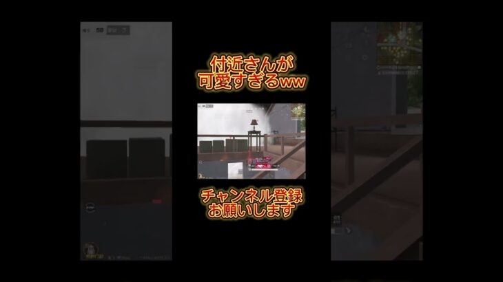 【荒野行動】付近さんが可愛すぎたwwwww  #shorts  #荒野行動