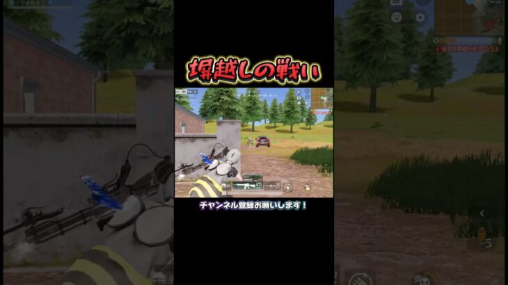 ドキドキな塀越しでの戦い🐝 #荒野行動 #knivesout