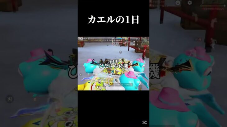 カエルの1日〜#荒野行動#荒野組#short