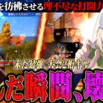 【玥下】久々の大会で個人2桁キル破壊かましてきた《95式/MP5》【荒野行動】