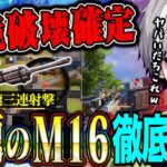 【環境破壊】チーター撃ち復活でぶっ壊れたM16がヤバすぎて鬼無双できます。【荒野行動】