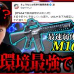 【検証】弱体化されたM16が未だバカ無双できるぶっ壊れ武器だったww【荒野行動】