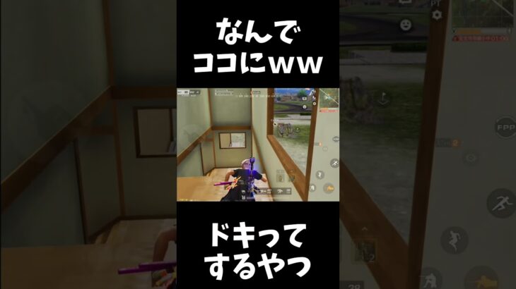 なんでこんなところにｗｗ【#荒野行動】#shorts   #荒野組　Knives Out
