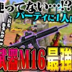 【環境破壊】誰も使ってないM16最強の仕様使ったらヤバすぎた35キル5700ダメ【荒野行動】