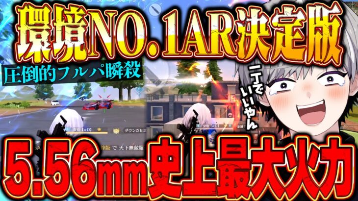 【環境覇者】現環境最も強い5.56武器が一丁で全て破壊できてヤバいww【#荒野行動】