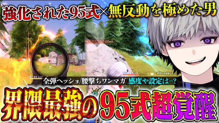 【覚醒】無反動95式を極めた男が強化後の95式で送る文句無しの通常破壊【#荒野行動 】