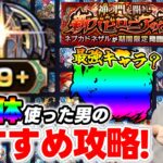 【モンスト】『超究極-兵-ネブカドネザル』100種類使ってクリアした人のオススメ攻略