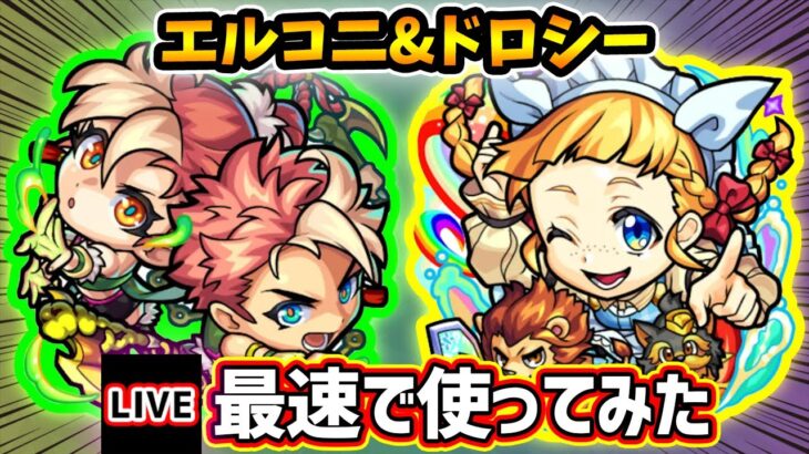 【🔴モンストライブ】庭園5で通用するのか！？『エルマルー&コニィルー・ドロシー』獣神化改を最速で使ってみた【けーどら】