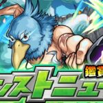 【🔴モンストライブ】※ コラボ発表来るか！？9/11(木)モンストニュース鑑賞会【けーどら】