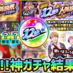 【12周年人気投票ガチャ】※年に1回の超激熱ガチャ開催！狙いは3~5体ぐらい、確定枠以外も限定が熱すぎるって！！4垢分で《TOP20組》引いた結果…【けーどら】