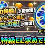 【🔴モンストライブ】※特級ELを求めて！！新ステージ『原生の神殿』周回しまくるぞ！【けーどら】