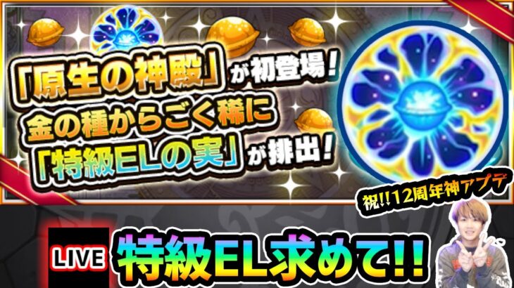 【🔴モンストライブ】※特級ELを求めて！！新ステージ『原生の神殿』周回しまくるぞ！【けーどら】